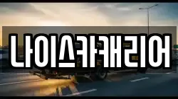 나이스카캐리어