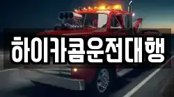 하이카콤운전대행
