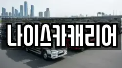 나이스카캐리어