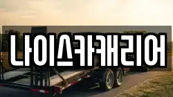 나이스카캐리어