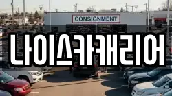 나이스카캐리어