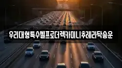 우리대형특수셀프로더렉카미니추레라탁송운