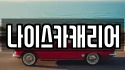 나이스카캐리어
