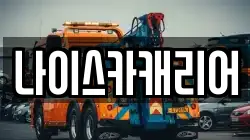 나이스카캐리어
