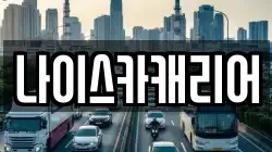 나이스카캐리어