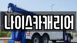 나이스카캐리어