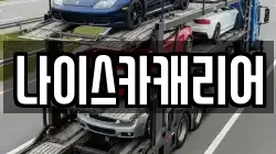 나이스카캐리어