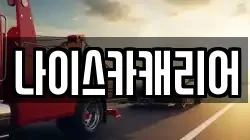 나이스카캐리어