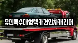 대전광역시 동구 홍도동 렉카, 특수렉카, 차량탁송, 견인운송
