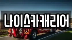 나이스카캐리어