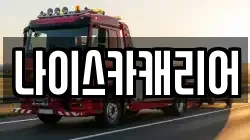 나이스카캐리어