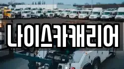 나이스카캐리어