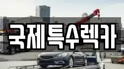 국제특수렉카