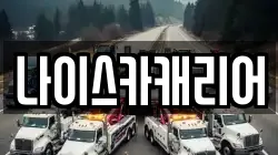 나이스카캐리어