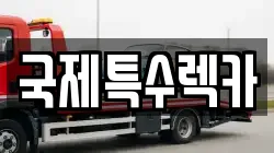 국제특수렉카