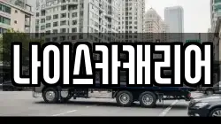 나이스카캐리어