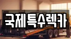 국제특수렉카