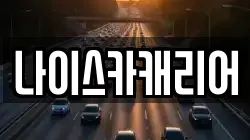 나이스카캐리어
