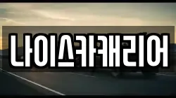 나이스카캐리어