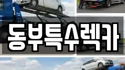 동부특수렉카