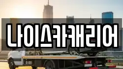 나이스카캐리어