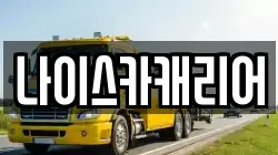 나이스카캐리어