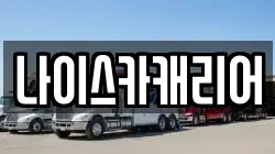 나이스카캐리어