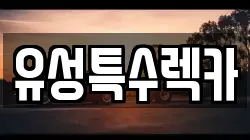 대전광역시 유성구 덕명동 렉카, 특수렉카, 차량탁송, 견인운송