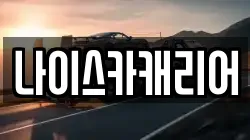 나이스카캐리어