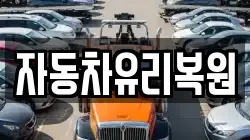 자동차유리복원