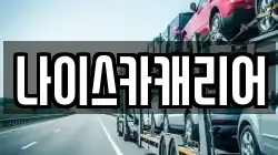 나이스카캐리어