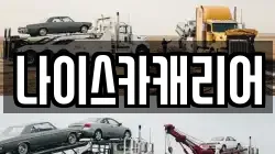 나이스카캐리어