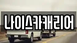나이스카캐리어