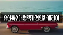 유신특수대형렉카견인차캐리어