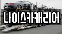 나이스카캐리어