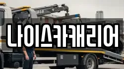 나이스카캐리어