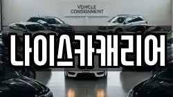 나이스카캐리어