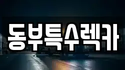 동부특수렉카