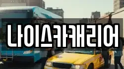 나이스카캐리어