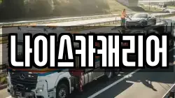 나이스카캐리어