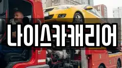 나이스카캐리어