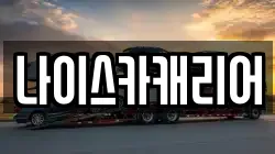나이스카캐리어