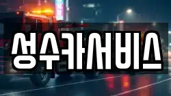 성수카서비스