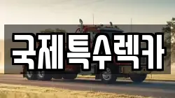 국제특수렉카