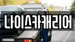 나이스카캐리어
