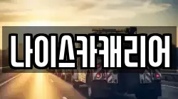 나이스카캐리어