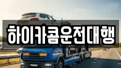 하이카콤운전대행