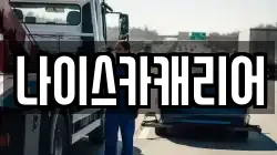 나이스카캐리어