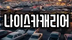 나이스카캐리어