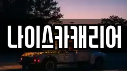 나이스카캐리어